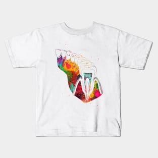 Molar Tooth Section Kids T-Shirt